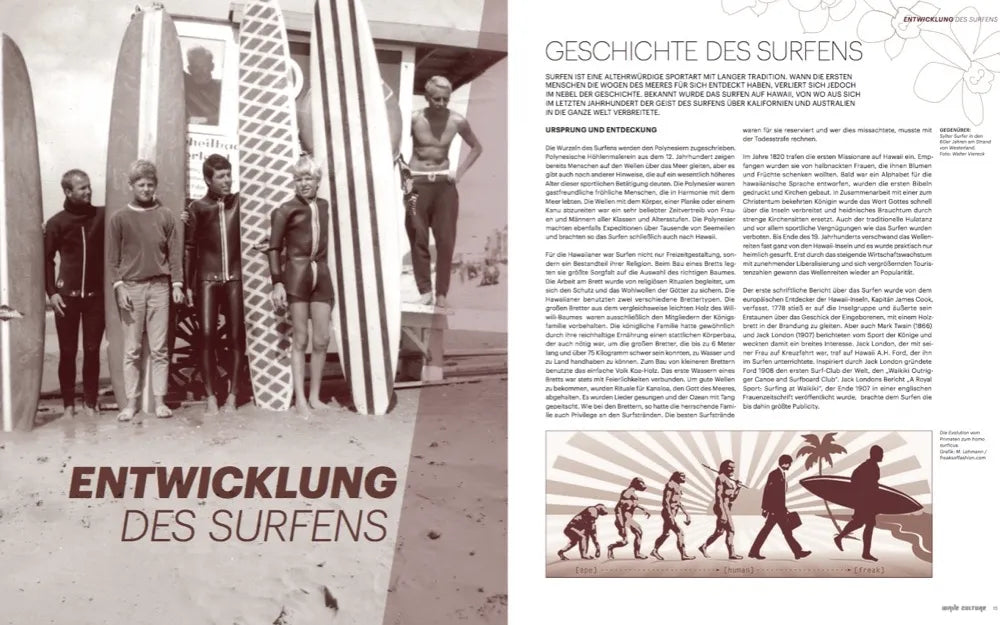 Wave Culture "Faszination Surfen" Buch "gebraucht"